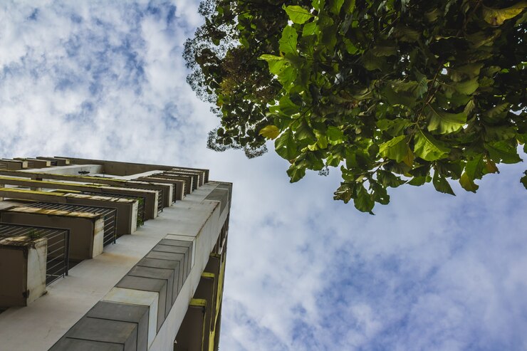The Role of Sustainability in Commercial Real Estate Development